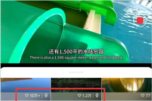 视频号这个玩法,我研究了一周,真香!网创思维-实用软件-项目拆解-项目实战凡风副业博客