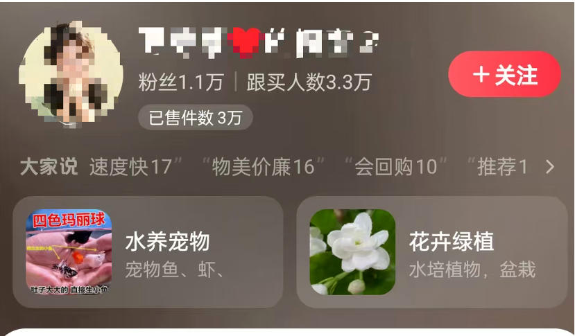 抖音 AI 绿植带货：半年赚 6 万，新手零门槛上手网创思维-实用软件-项目拆解-项目实战凡风副业博客