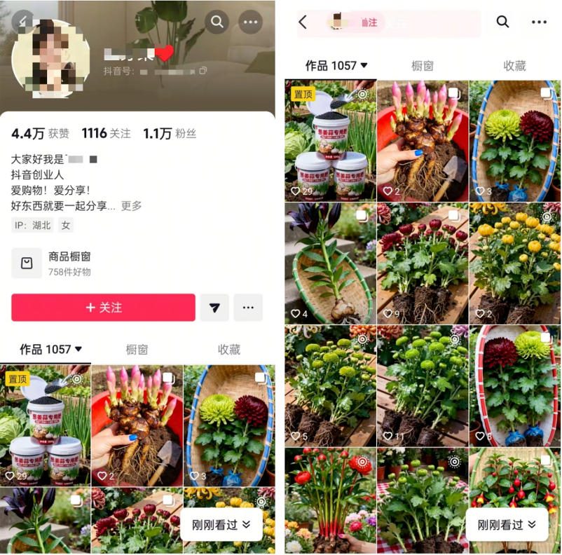 图片[2]网创思维-实用软件-项目拆解-项目实战抖音 AI 绿植带货：半年赚 6 万，新手零门槛上手网创思维-实用软件-项目拆解-项目实战凡风副业博客