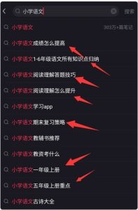 网站虚拟实战陪跑1.0-(13)小红书如何养号?网创思维-实用软件-项目拆解-项目实战凡风副业博客