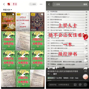 小众绝版书项目,靠卖几本“破书”,居然月入3网创思维-实用软件-项目拆解-项目实战凡风副业博客