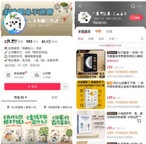 抖音AI人书对话:0基础也能做的变现小项目网创思维-实用软件-项目拆解-项目实战凡风副业博客