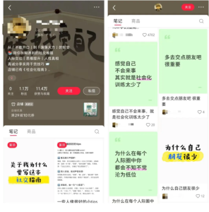 小红书卖社恐指南:AI助力,零经验也能月入10万+网创思维-实用软件-项目拆解-项目实战凡风副业博客
