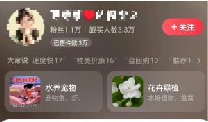 抖音 AI 绿植带货:半年赚 6 万,新手零门槛上手网创思维-实用软件-项目拆解-项目实战凡风副业博客