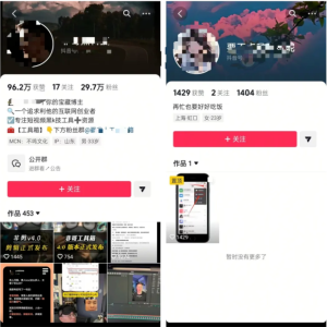 网盘拉新长期玩法:软件分享号,多平台稳赚流量网创思维-实用软件-项目拆解-项目实战凡风副业博客